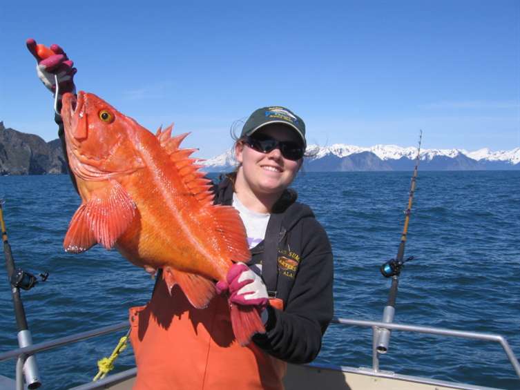 Alaskan Ling Cod