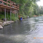 Kenai River Fishing Alaska - Alaskan Fishing Trip - Photos - Gone Fishin Lodge