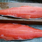 Kenai River Fishing Alaska - Alaskan Fishing Trip - Photos - Gone Fishin Lodge
