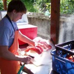 Kenai River Fishing Alaska - Alaskan Fishing Trip - Photos - Gone Fishin Lodge