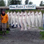 Kenai River Fishing Alaska - Alaskan Fishing Trip - Photos - Gone Fishin Lodge