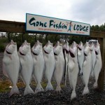 Kenai River Fishing Alaska - Alaskan Fishing Trip - Photos - Gone Fishin Lodge