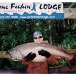 Kenai River Fishing Alaska - Alaskan Fishing Trip - Photos - Gone Fishin Lodge