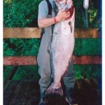 Kenai River Fishing Alaska - Alaskan Fishing Trip - Photos - Gone Fishin Lodge