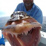 Kenai River Fishing Alaska - Alaskan Fishing Trip - Photos - Gone Fishin Lodge